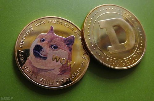 Dogecoin miner set up